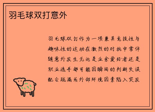 羽毛球双打意外