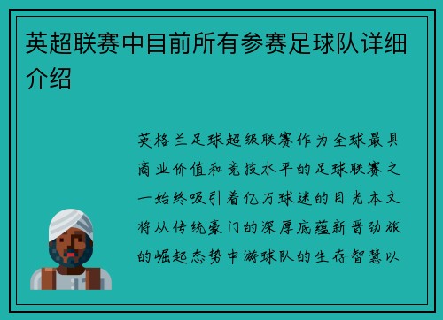 英超联赛中目前所有参赛足球队详细介绍